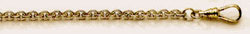 Colibri Gold Pocket Watch Chain AWC-2105
